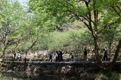 Zhong Yandang Mountain'da Mutlu Takım Binası
